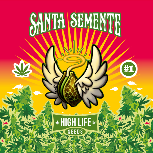 Santa Semente High Life Seeds