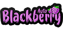Blackberry Auto – PACK COM 5 UNIDADES – FASTBUDS