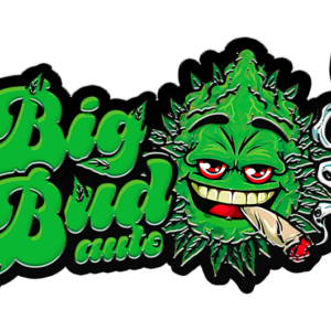Big Bud Auto – PACK COM 5 UNIDADES – FASTBUDS