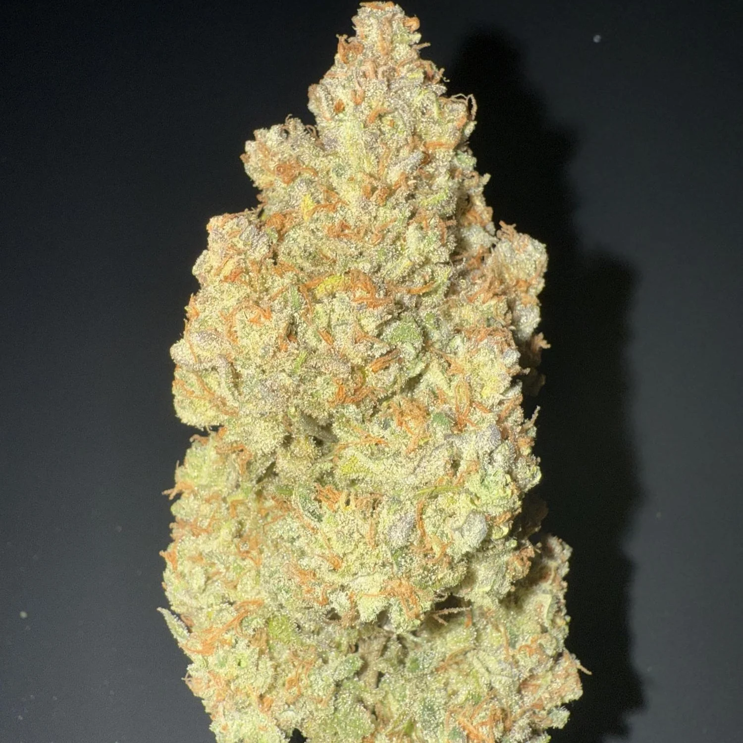 Altai CBD - Imagem 3