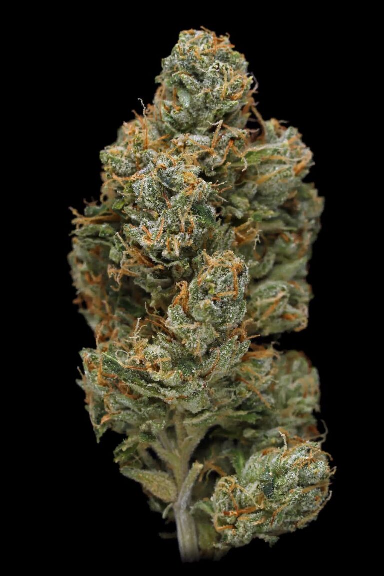 Green Crack CBD - Imagem 2