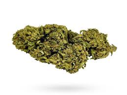 WalterMelon CBD - Imagem 4