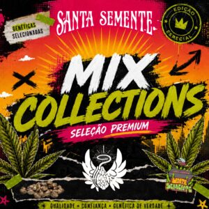 Santa Aromatic Mix - Automática | Skunk, Moby Dick, Runtz e Blueberry - Santa Semente