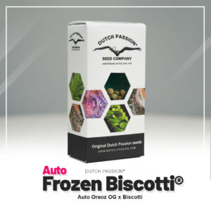 Frozen Biscotti®– Automática – Pack com 3 Unidades – Dutch Passion