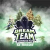 Dream Team Mix Feminizada – BSF – Pack com 12 UNIDADES