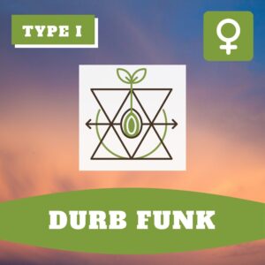 Durban Funk THCV – Foto.Feminizada – Pack com 3+1 Unidades – Sativa Creations