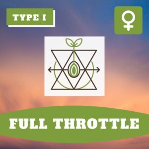 Full Throttle THCV – Foto.Feminizada – Pack com 3+1 Unidades – Sativa Creations
