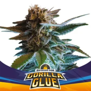 Gorilla Glue Auto - BSF - Pack com 4 UNIDADES