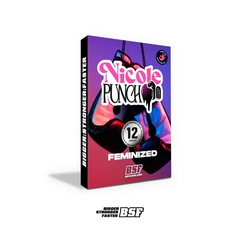 Nicole Punch – Feminizada – BSF – Pack com 4 UNIDADES - Imagem 4