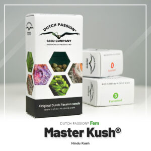Master Kush – Foto.Feminizada – Pack com 3 Unidades – Dutch Passion