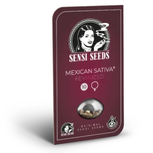 Mexican Sativa – Foto.Feminizada – Pack com 3+1 Unidades – Sensi Seed
