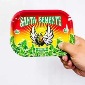 Bandeja Metal 18x14cm - SANTA SEMENTE