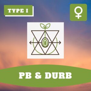 PB & Durb THCV – Foto.Feminizada – Pack com 3+1 Unidades – Sativa Creations