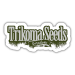 Trikoma Seeds