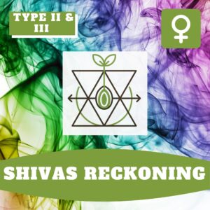 Shiva´s Reckoning CBD – Foto.Feminizada – Pack com 3+1 Unidades – Sativa Creations