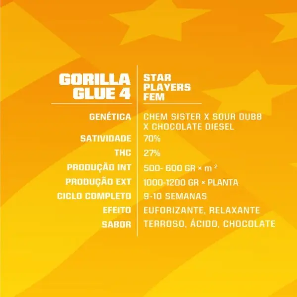 Gorilla Glue #4 - Feminizada - BSF - Pack com 4 UNIDADES - Imagem 3