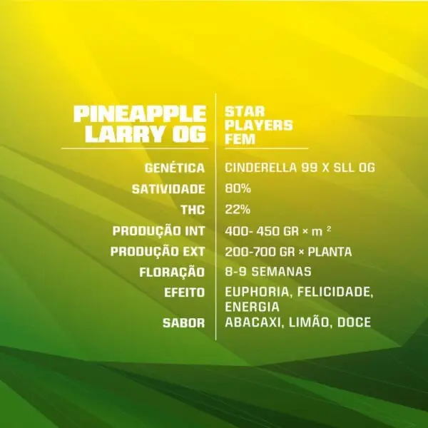 Pineapple Larry OG - Feminizada - BSF - Pack com 4 UNIDADES - Imagem 3