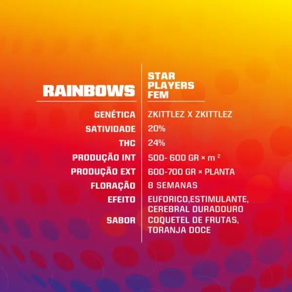 Rainbows - Feminizada - BSF - Pack com 4 UNIDADES - Imagem 3