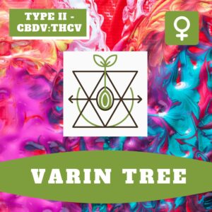 Varin Tree THCV – Foto.Feminizada – Pack com 3+1 Unidades – Sativa Creations