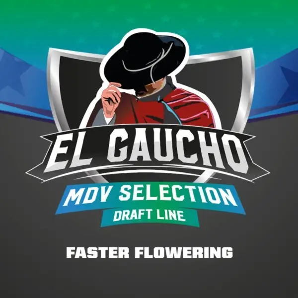El Gaucho - Faster Flowering - Fot.Feminizada - BSF - Pack com 4 UNIDADES - Imagem 2