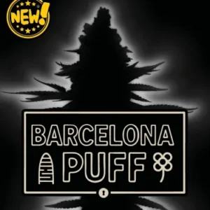 Barcelona Puff – Foto.Feminizada – Pack com 3 Unidades – Seedstockers