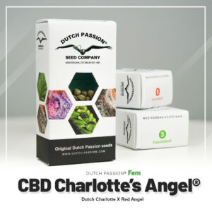 CBD Charlotte’s Angel® – Foto.Feminizada – Pack com 3 Unidades – Dutch Passion