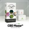 CBD Mazar® – Foto.Feminizada – Pack com 3 Unidades – Dutch Passion