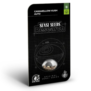 Caramellow Kush – Automática – Pack com 3+1 Unidades – Sensi Seed
