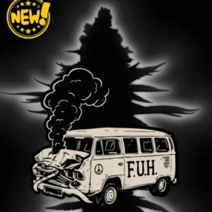 F.U.H – Foto.Feminizada – Pack com 3 Unidades – Seedstockers