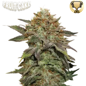 Fruit Cake – Foto.Feminizada – Pack com 3 Unidades – Seedstockers