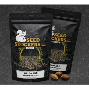 Gelonade – Foto.Feminizada – Pack com 15 Unidades – Seedstockers