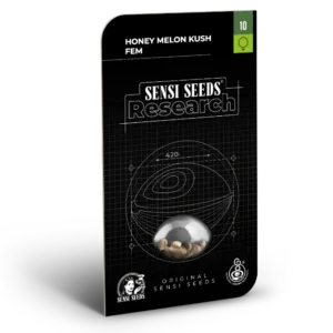 Honey Melon Kush – Automática – Pack com 3+1 Unidades – Sensi Seed