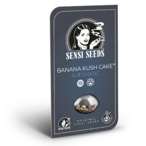 Banana Kush Cake – Automática – Pack com 3+1 Unidades – Sensi Seed