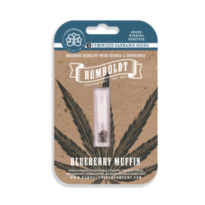Blueberry Muffin – Foto.Feminizada – Pack com 3 Unidades – Humboldt