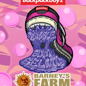 Bubblegum Gelato – Foto.Feminizada – Pack com 3 Unidades – Barney’s Farm