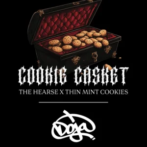 Cookies Casket – Foto.Feminizada – Pack com 3 Unidades – Barney´s Farm