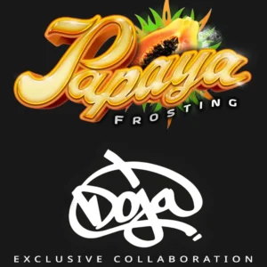 Papaya Frosting – Foto.Feminizada – Pack com 3 Unidades – Barney’s Farm