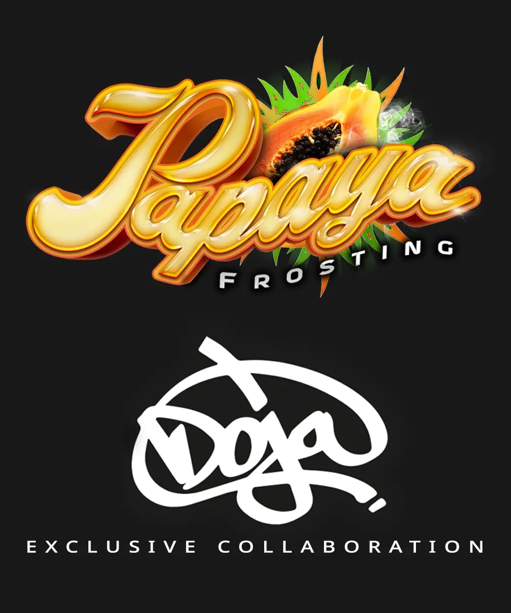 Papaya Frosting – Foto.Feminizada – Pack com 3 Unidades – Barney’s Farm