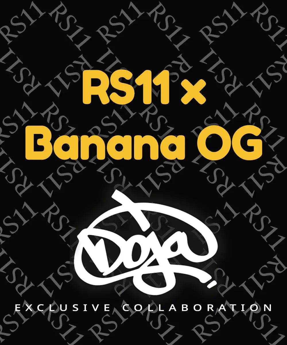 RS11 x Banana OG – Foto.Feminizada – Pack com 3 Unidades – Barney’s Farm - Imagem 2