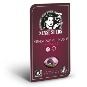 Sensi Purple Kush – Foto.Feminizada – Pack com 3+1 Unidades – Sensi Seed