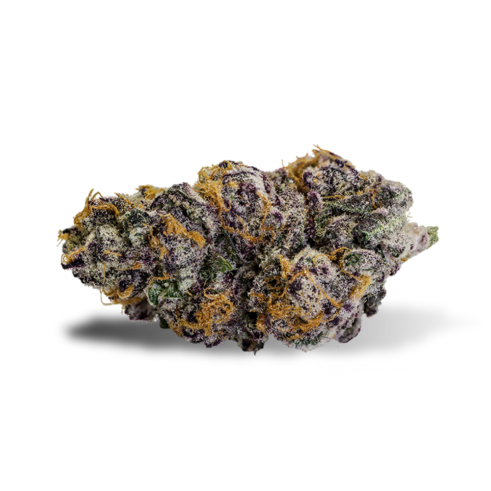 Purple Punch – Foto.Feminizada – Pack com 1 Unidade – Santa Semente - Imagem 3