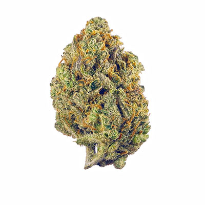 Super Lemon Haze – Automática – Pack com 3 Unidades – Santa Semente - Imagem 5