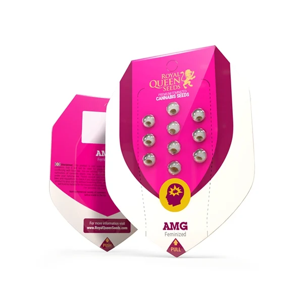 AMG Amnesia Mac Ganja – Foto.Feminizada – Pack com 3 Unidades – Royal Queen - Imagem 4